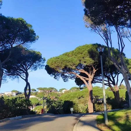 Lovely アパート *