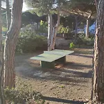 Lovely 圣马克西姆